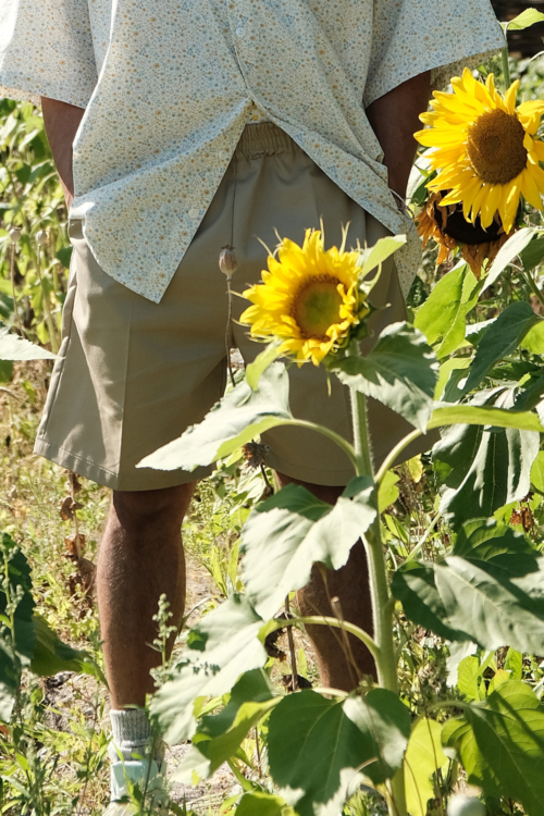Short 'Heit' Beige Worker - Image 2